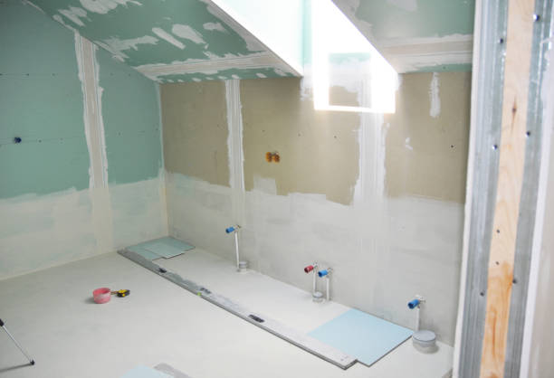 Best Black Mold Removal  in Menahga, MN