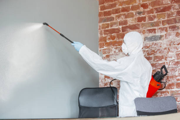 Best Dehumidification Services  in Menahga, MN