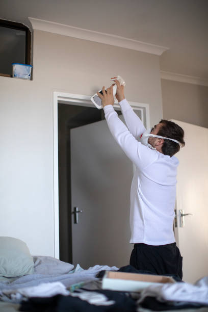 Best Mold Damage Restoration  in Menahga, MN