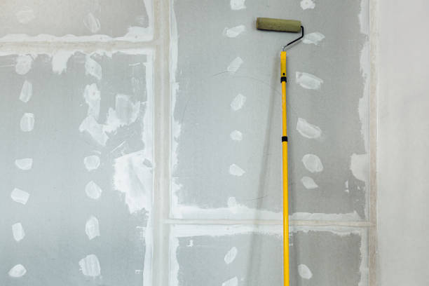 Best Mold Documentation for Insurance Claims  in Menahga, MN