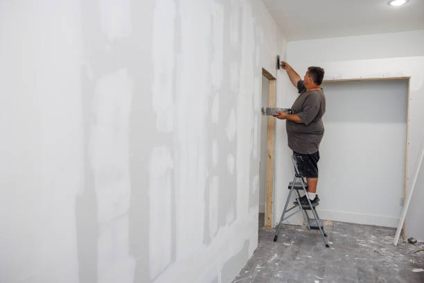 Best Industrial Mold Remediation  in Menahga, MN