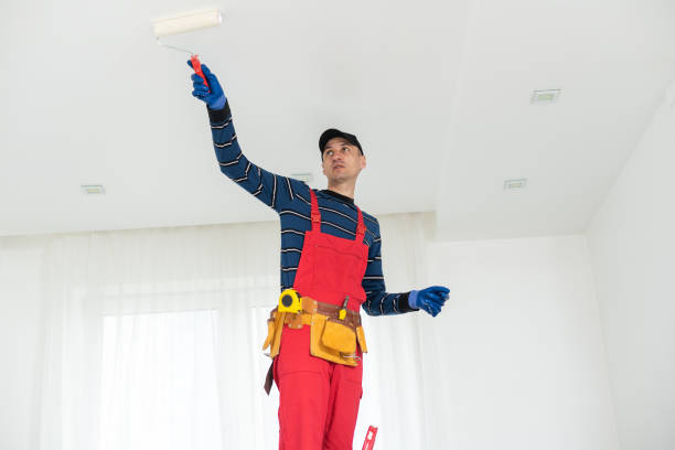 Best Post-Remediation Verification Testing  in Menahga, MN