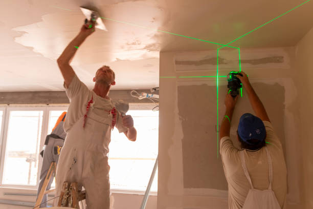 Best Airborne Mold Testing  in Menahga, MN