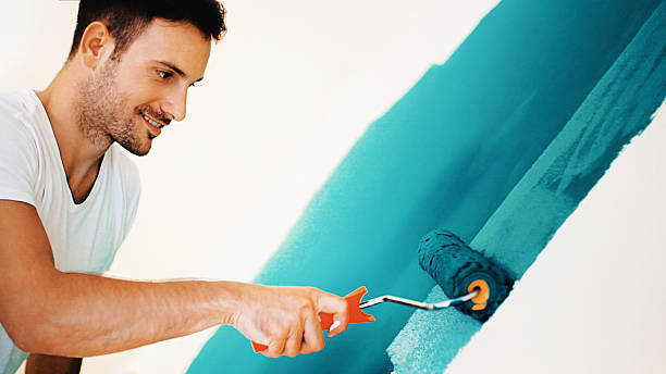Best Mold Odor Removal Services  in Menahga, MN