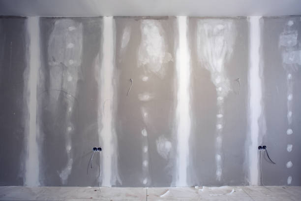 Best Emergency Mold Remediation  in Menahga, MN